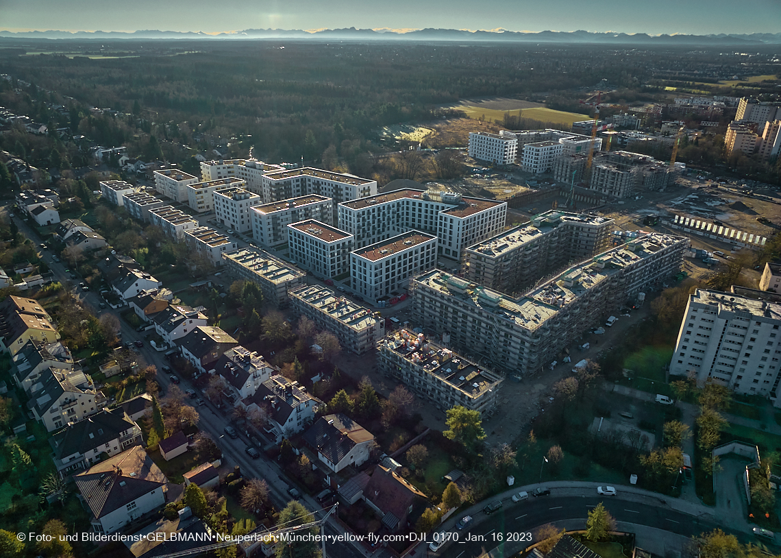 16.01.2023 - Alexisquartier und Pandion Verde